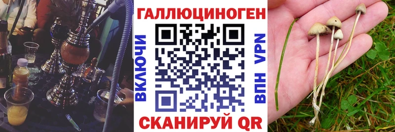 Галлюциногенные грибы мухоморы Ужур